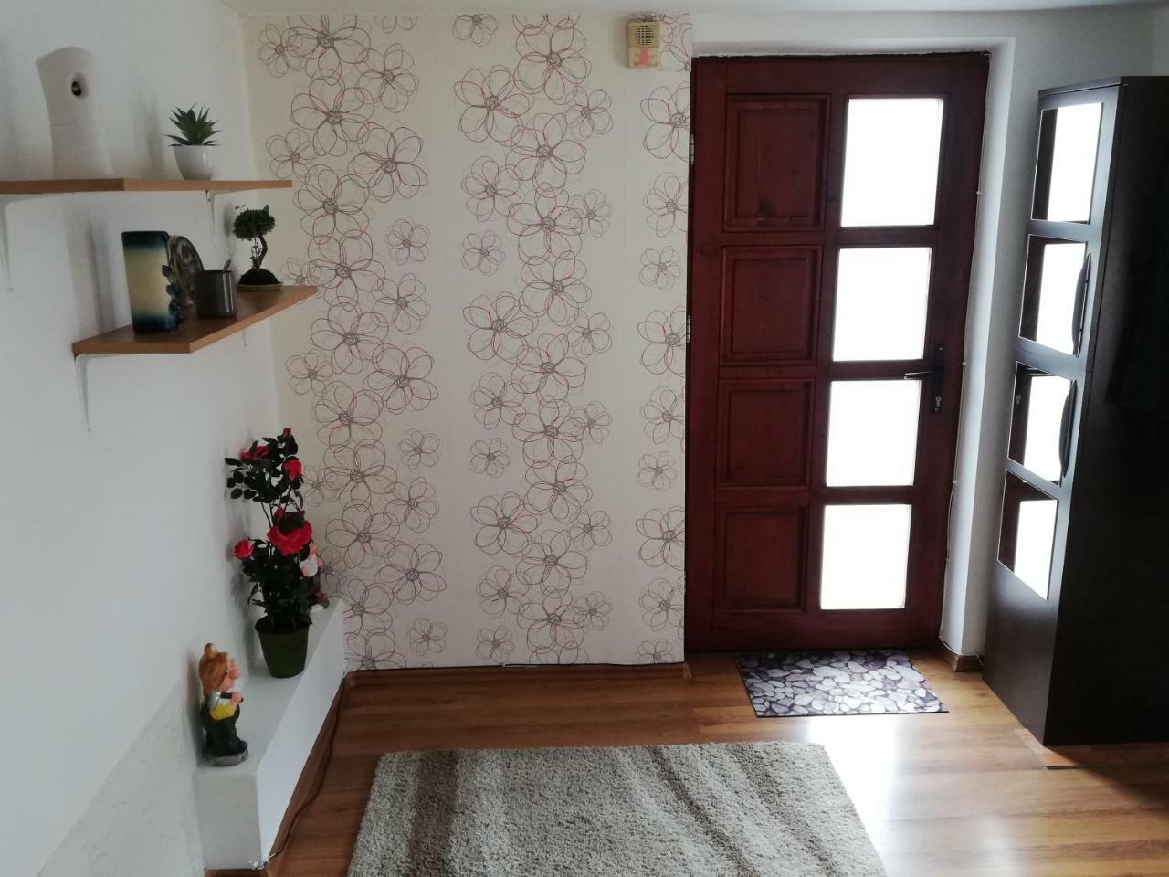 Arina'S Apartments Braşov Buitenkant foto